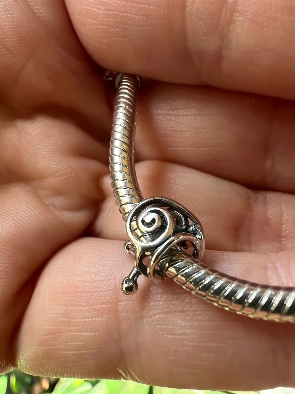 Snail 🐌 Charm